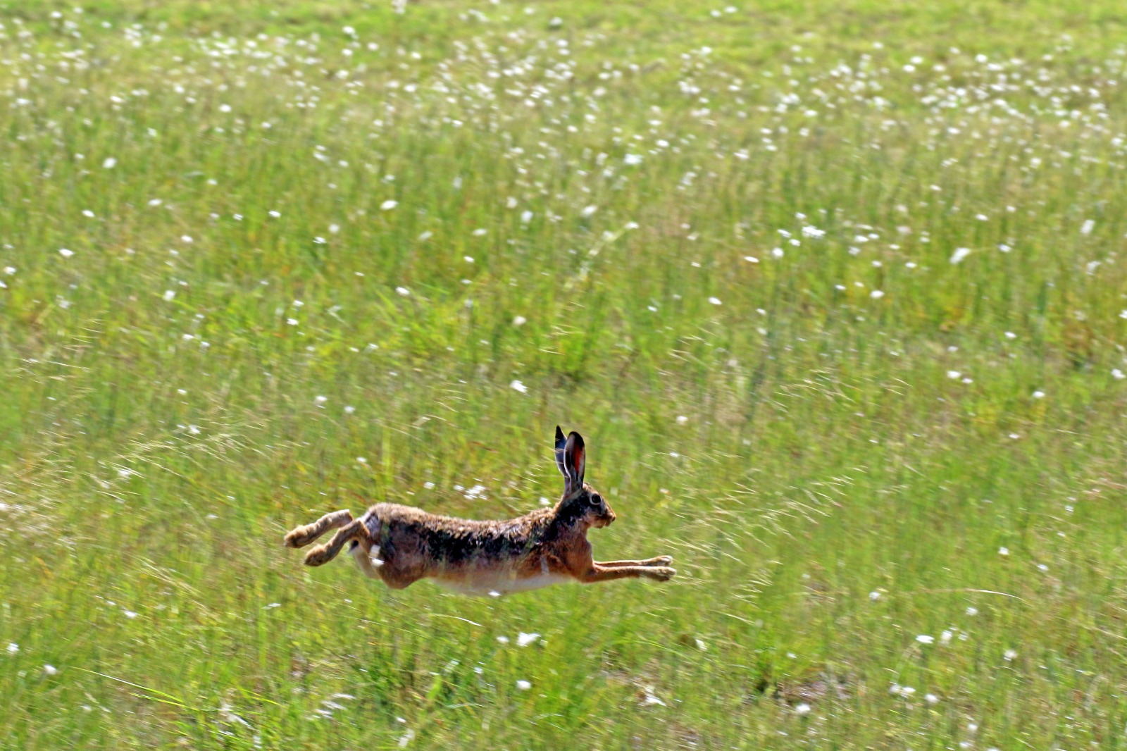 El color del TC Mouras y TC Pista Mouras desde el foco de Berna Bosco: WhatsApp Image 2023-02-05 at 15.16.28.jpeg